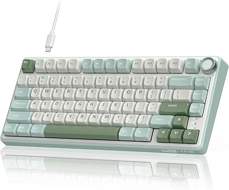 RK ROYAL KLUDGE R75 Gaming Keyboard Wired with Volume Knob, 75% Keyboard Gasket Mounted, Hot Swappable, Creamy Sound, MDA Profile, PBT Keycaps